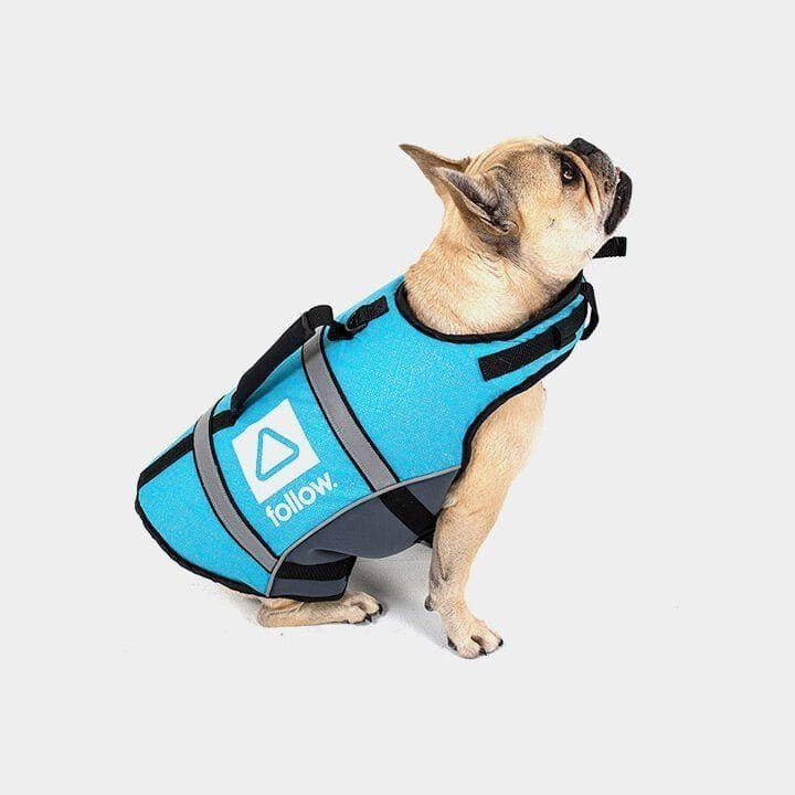 Follow Wake Dog Floating Aid | Teal/Grey