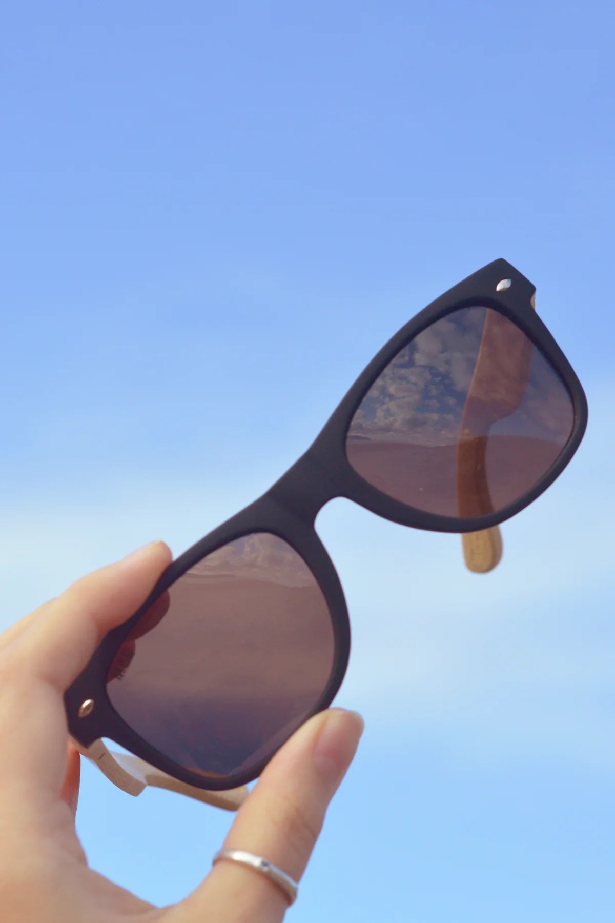 50/50s sunglasses black with brown lens